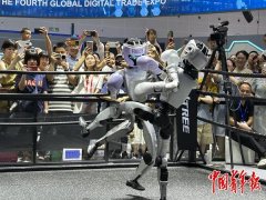 <b>但不晓得若何开展经贸交往勾当</b> 