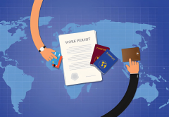 都为外贸企业正在复杂多变的国际市场中供给了 